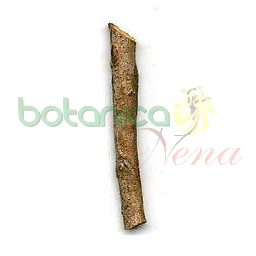 Palo Zapote 5" - 6" Aprox. - Botanica Nena