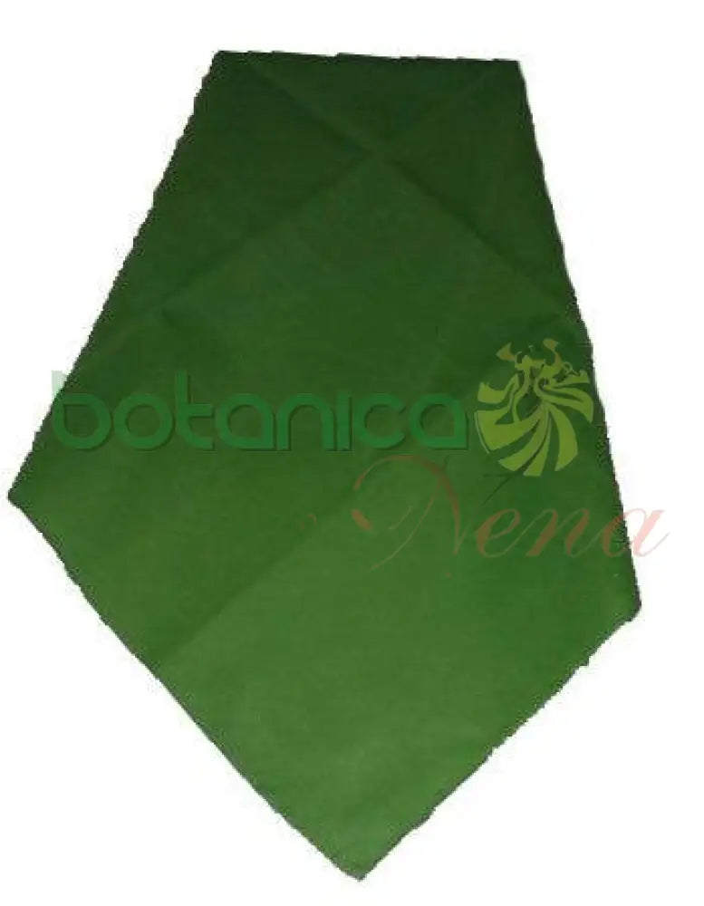 Pañuelo Verde 21" x 21" - Botanica Nena