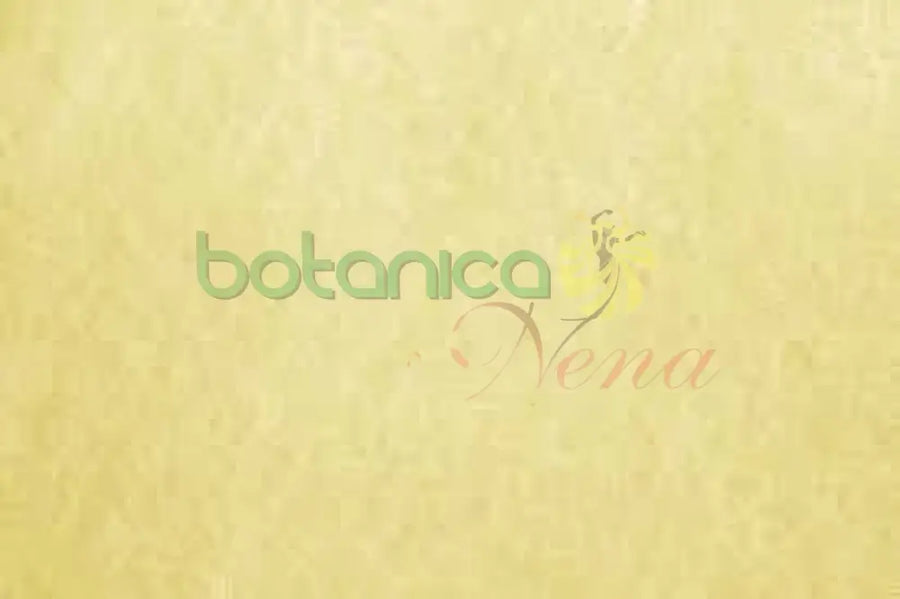 Papel de Pergamino 8.5" X 11" - Botanica Nena