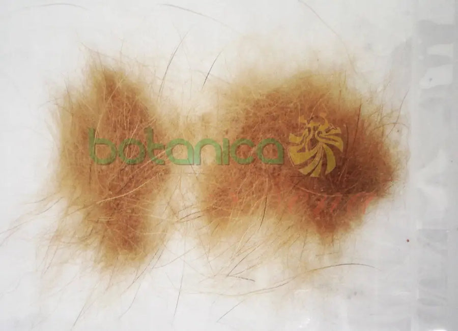 Pelo de Perro - Botanica Nena