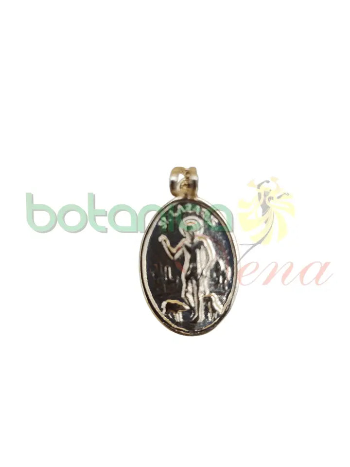 Pendiente / Dije San Lazaro baño de Oro - Botanica Nena