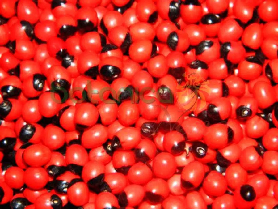 Peonia Paquete 1 oz - Botanica Nena