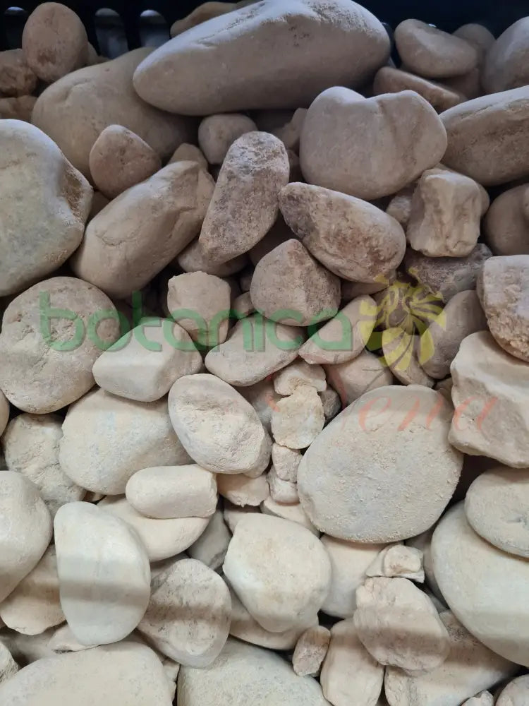 Piedras Amarillas de Rio Grandes (otanes) 3"-5" aprox 1 piece - Botanica Nena