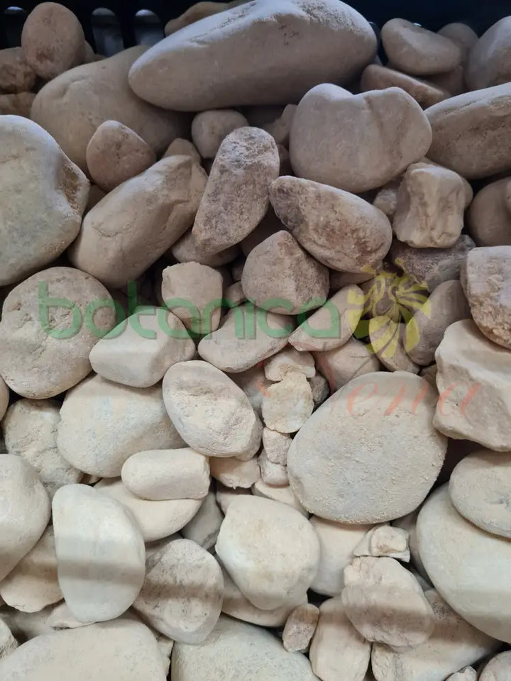 Piedras Amarillas de Rio Grandes (otanes) 3"-5" aprox 1 piece - Botanica Nena