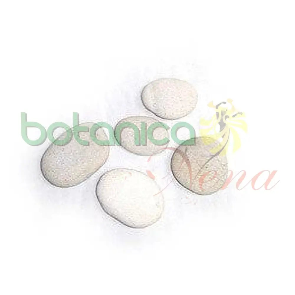 Piedras blancas Grandes (Otanes) 3"-5" aprox 1 pieza - Botanica Nena