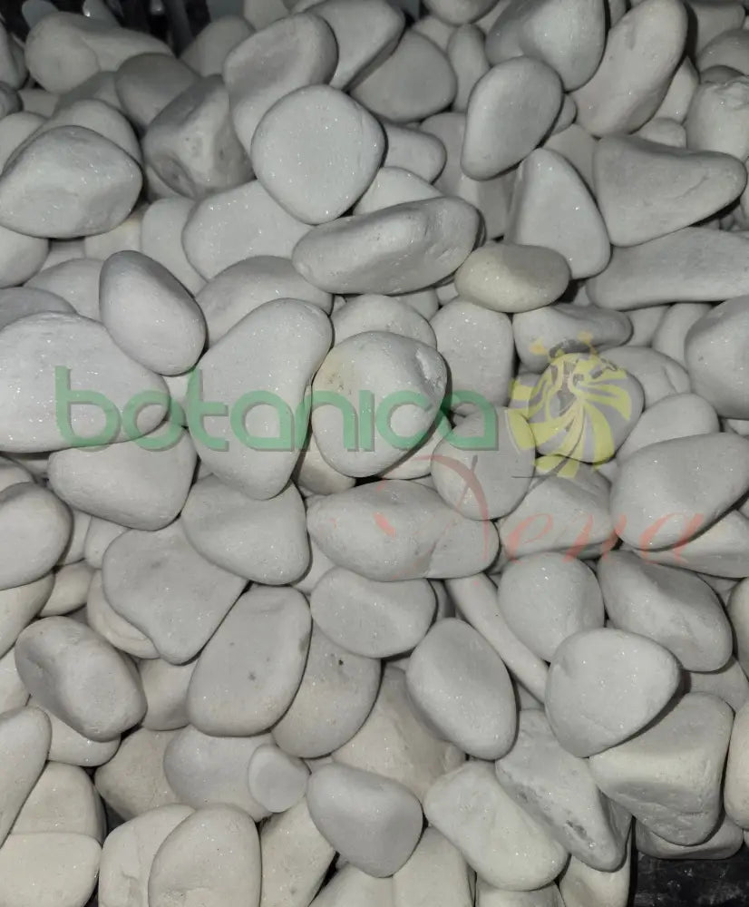 Piedra blanca de Rio (Otanes) para santo Grande de 3’’ a 5’’ Aprox