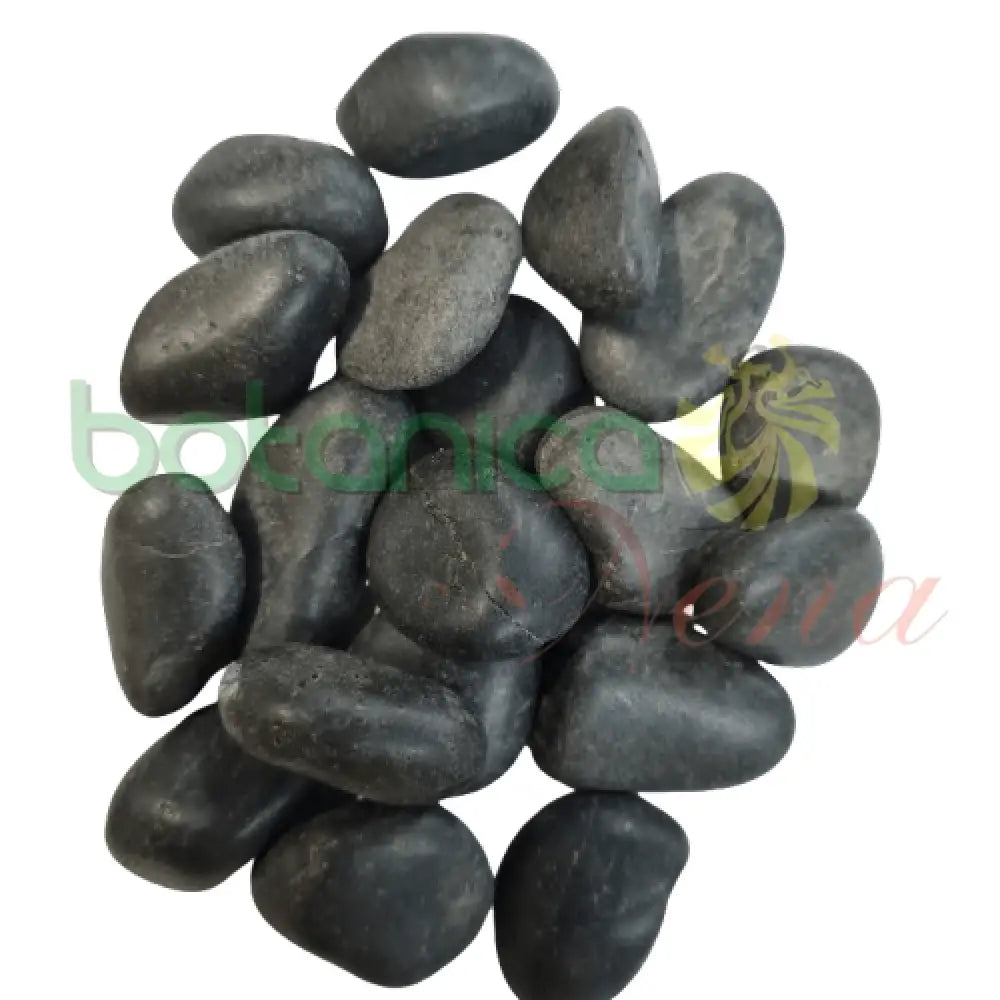 Piedra Centella o 7 rayos 1"Alto - Botanica Nena