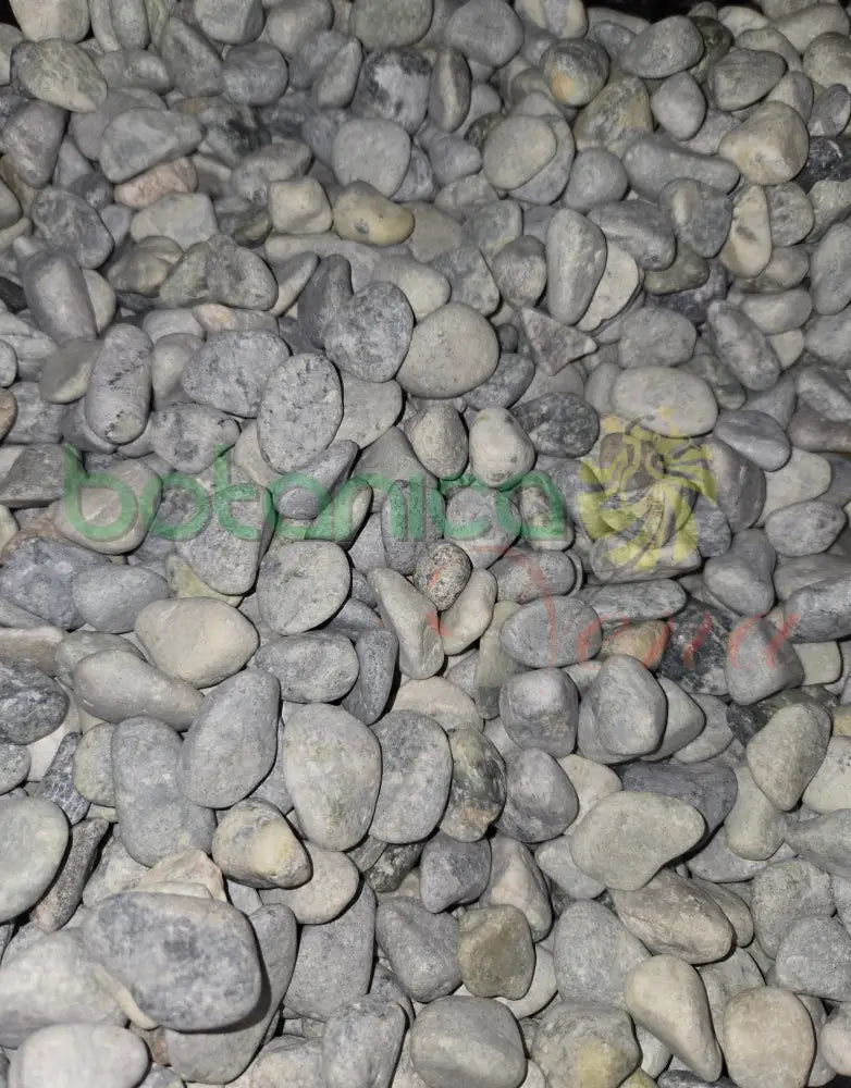 Piedras Rio grisaseas Chicas (otanes) 1’’-3’’ aprox - 1 pieza