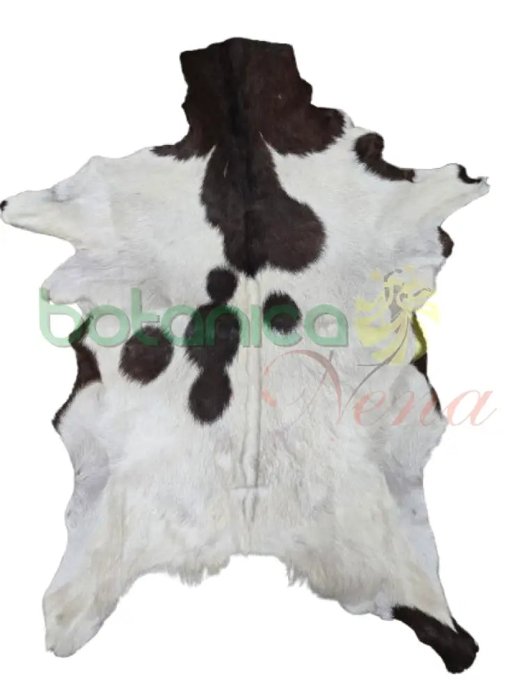 Piel de Chivo Blanca con Carmelita