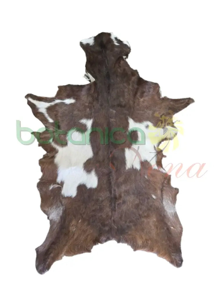 Piel de Chivo Carmelita con blanco