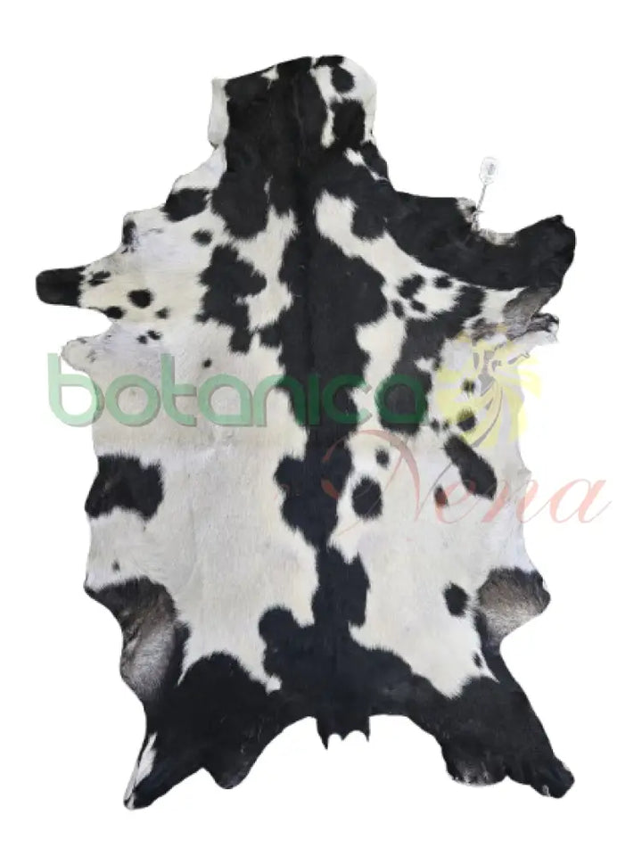Piel de Chivo Negro con Blanco