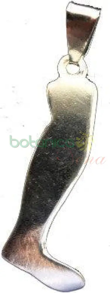 Pierna Baño de Plata y de Oro - Botanica Nena