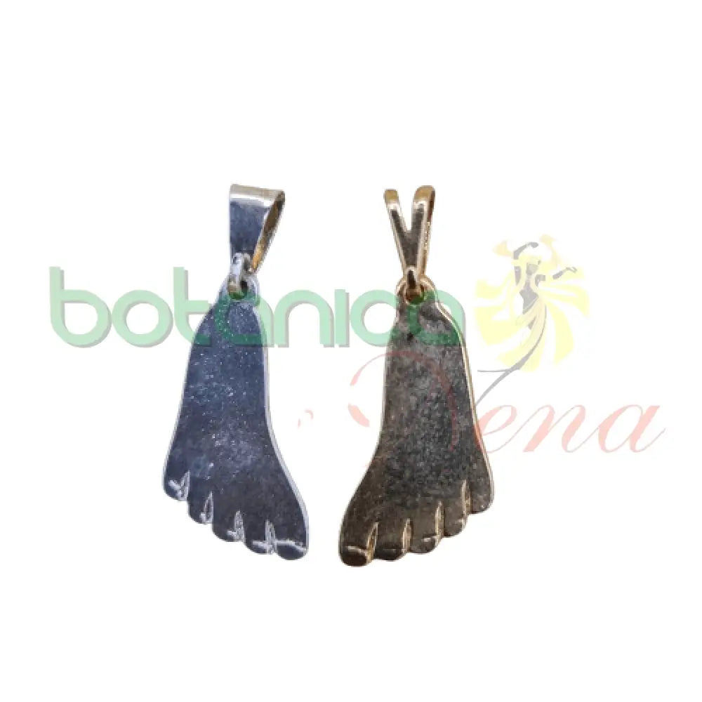 Planta pie Baño de Plata y de Oro - Botanica Nena