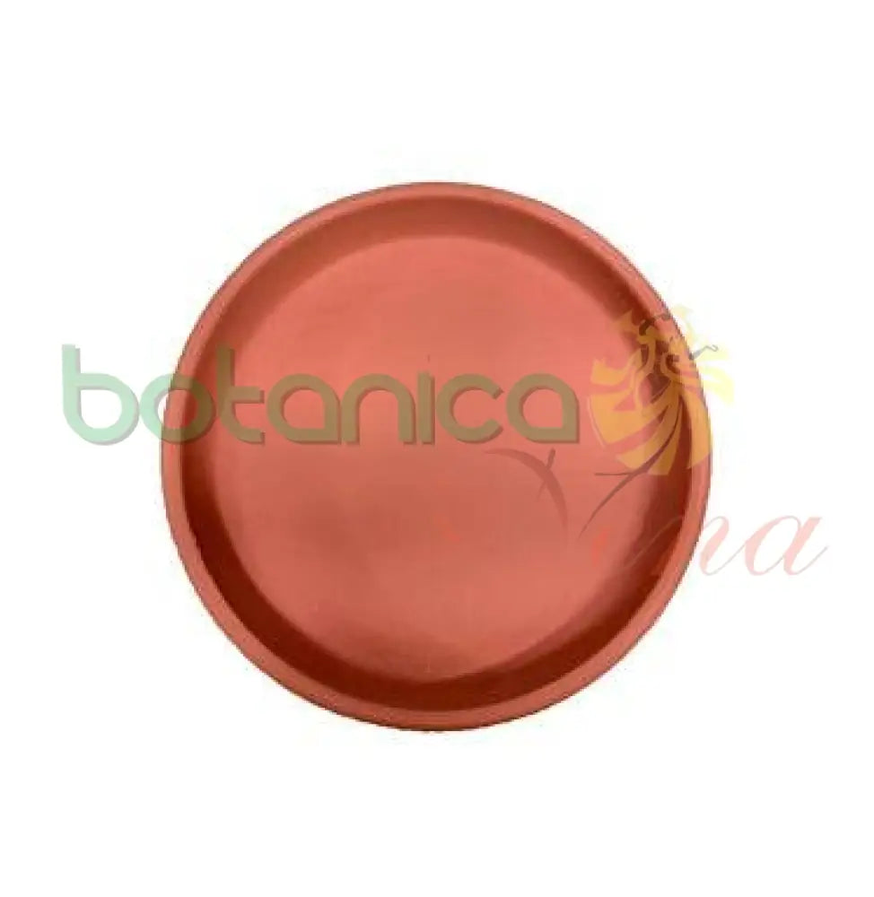 Plato de Barro - Botanica Nena