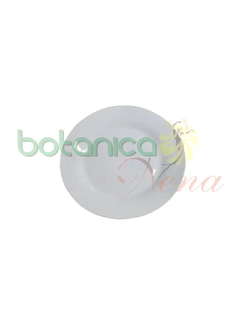 Plato de porcelana pequeño - Botanica Nena