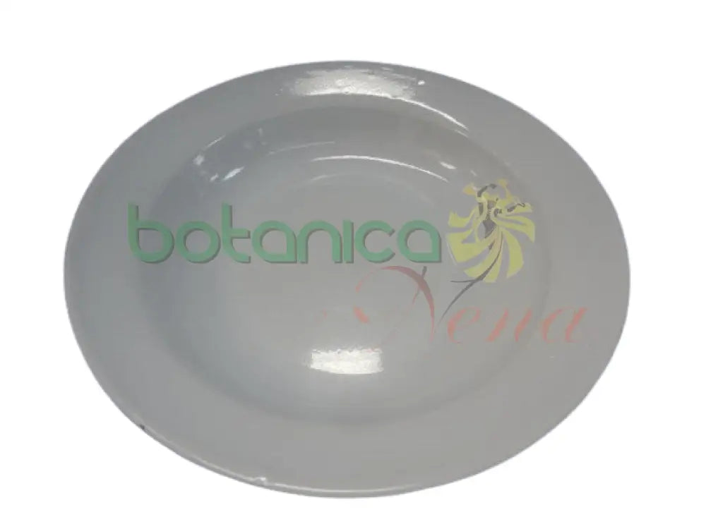 Plato medio llano de metal 9 x 1.5 pulgadas - Botanica Nena