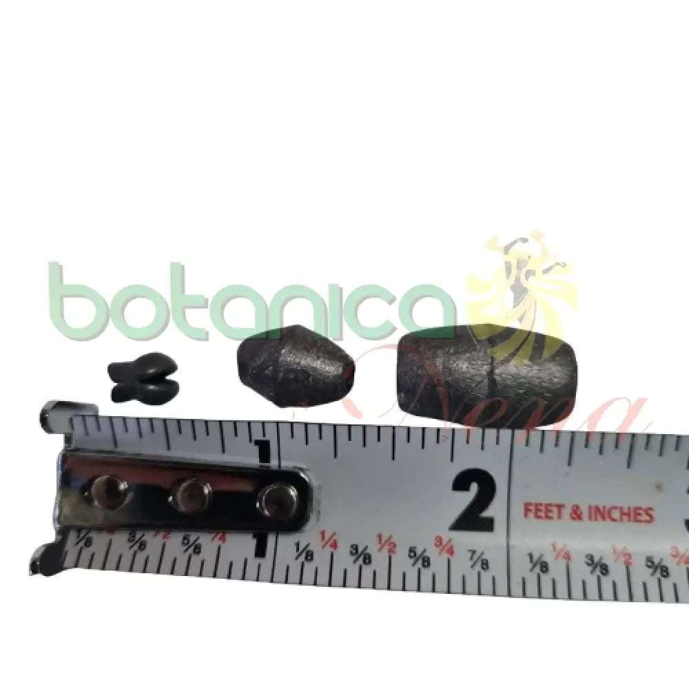 Plomo Para rojo de Pescar Grande