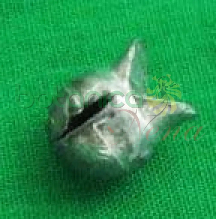 Plomito Para rojo de Pesca - Botanica Nena