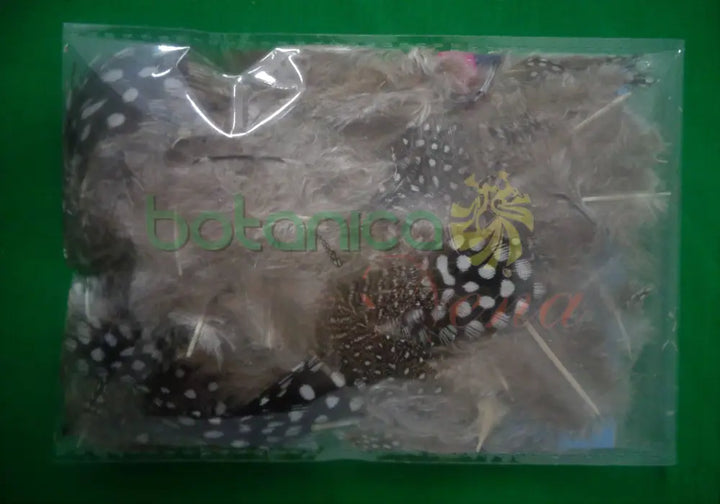 Pluma de Guinea (unidad) - Botanica Nena