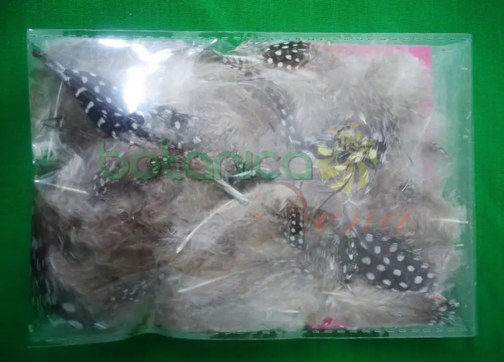 Pluma de Guinea (unidad) - Botanica Nena