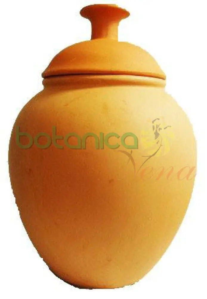 Potiche Barro Grande Olokun Babalawo 12"Ancho x 18 "Alto - Botanica Nena