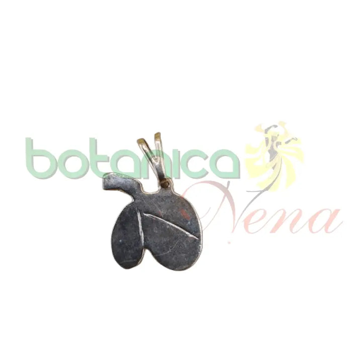 Prostata baño de Plata y de Oro - Botanica Nena