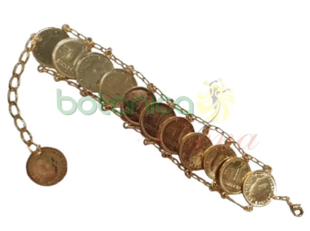 Pulso de monedas Superpuestas - Botanica Nena