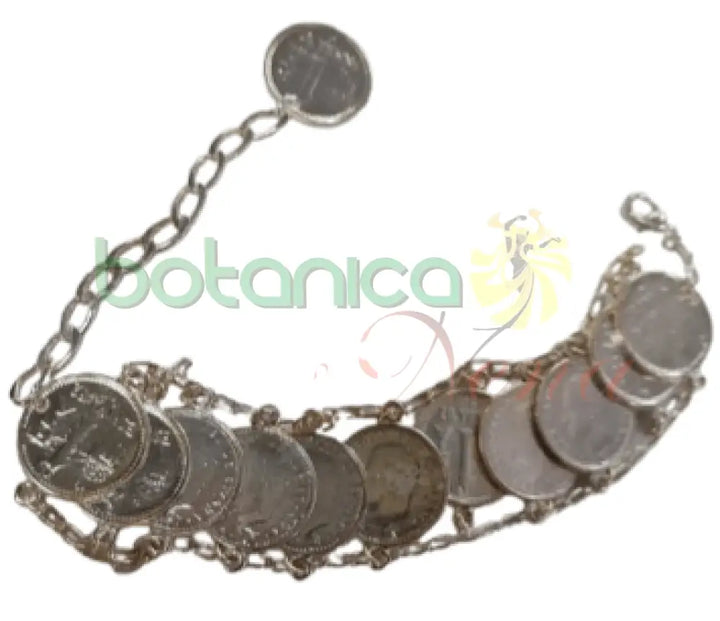 Pulso de monedas Superpuestas - Botanica Nena