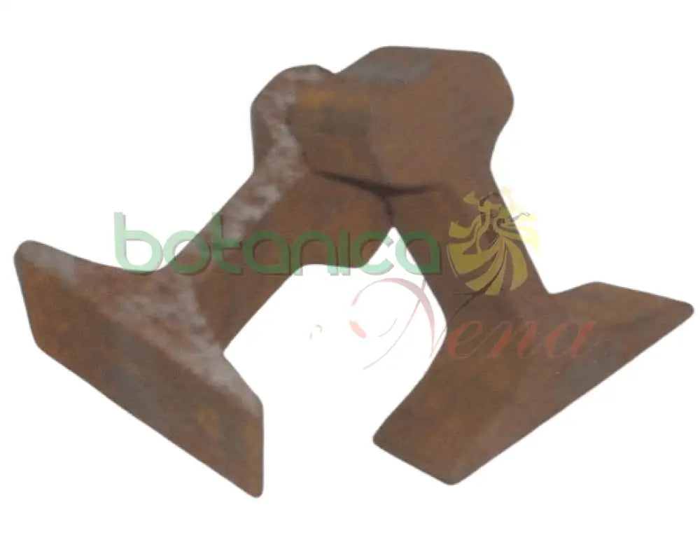 Riel de Linea. Riel de Ferrocaril. - Botanica Nena