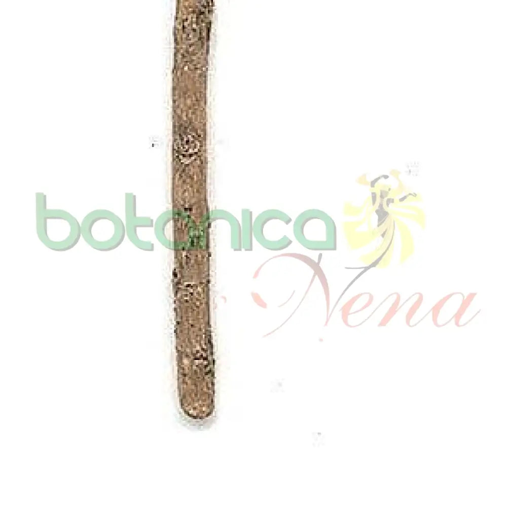 Bastones de Palo 6 ft Aprox