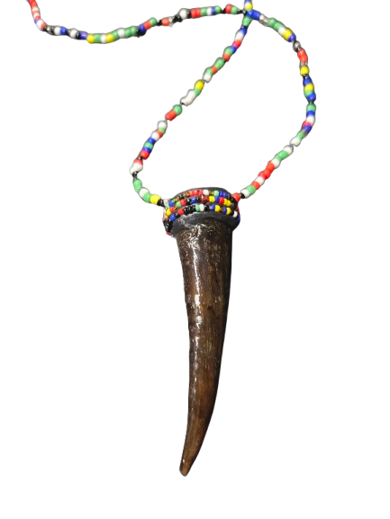 Collar con tarro - Botanica Nena