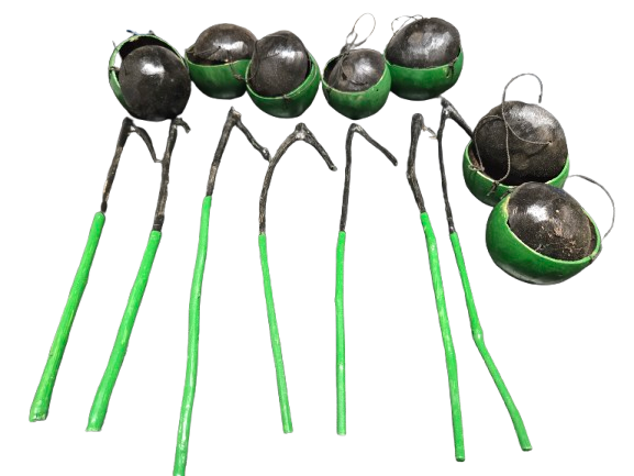 7 Garabato de Guayaba 10" y 7 Guiros pequenos 2.5" - Botanica Nena
