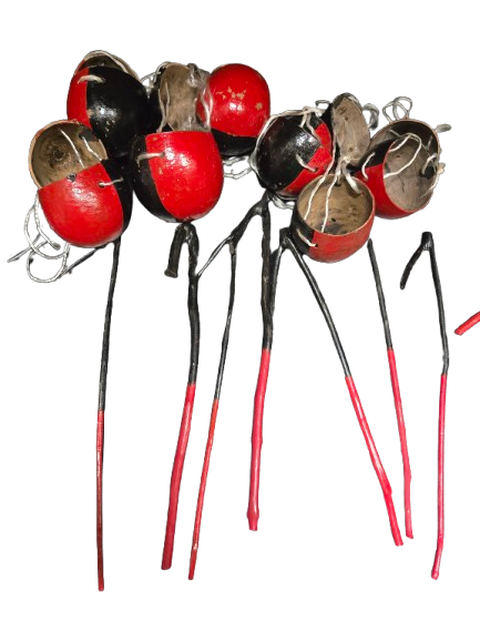 7 Garabato de Guayaba 10" y 7 Guiros pequenos 2.5" - Botanica Nena