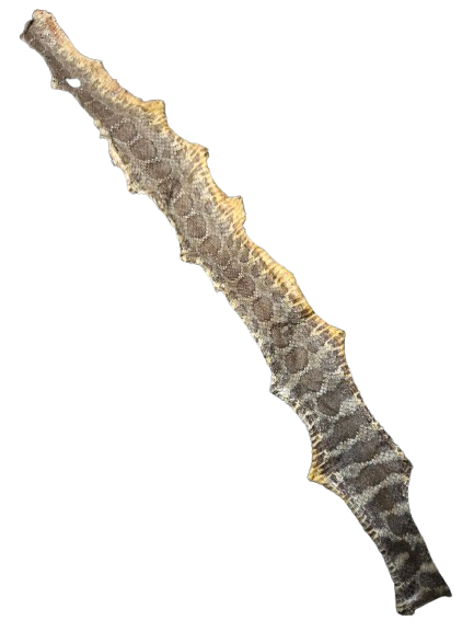 Piel de Serpiente / Culebra (Maja)