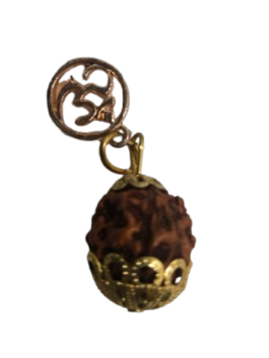 Dije Semilla Rudraksha Indu - Botanica Nena