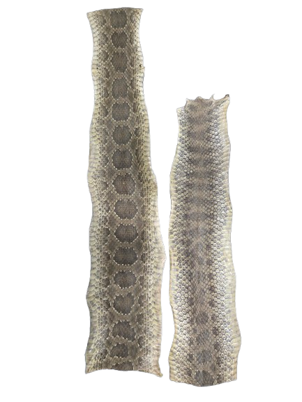 Piel de Serpiente / Culebra (Maja) - Botanica Nena