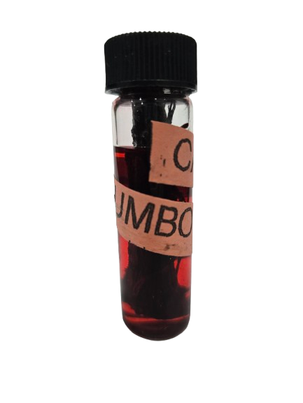 Cambia Rumbo Aceite  con palo mini redondo 1 oz