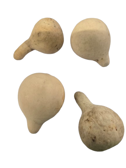Calabaza en forma de pera 1 und