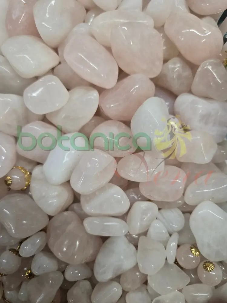 Rose Quartz (1 pieza) (Cuarzo Rosado)