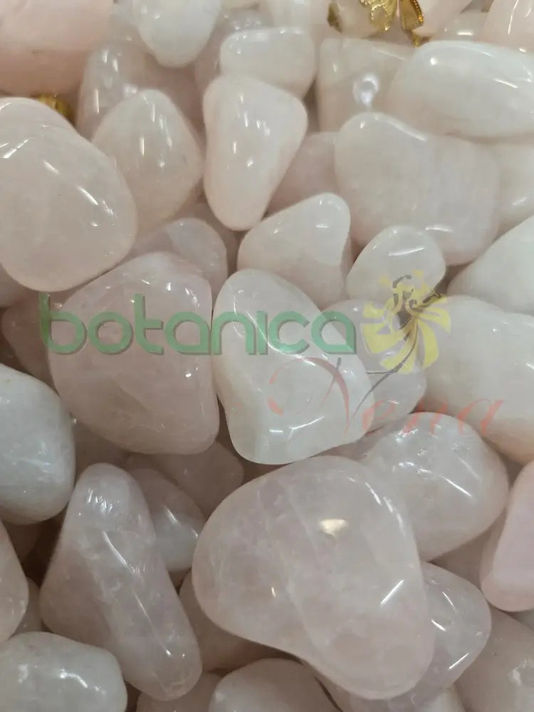 Rose Quartz (1 pieza) (Cuarzo Rosado) Grande 1’’H Aprox