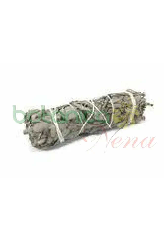 Salvias Secas - Sage - Botanica Nena