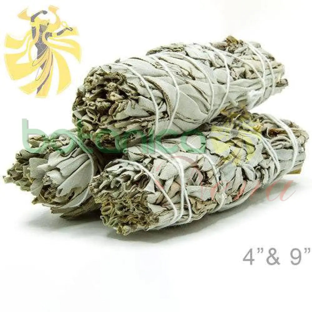 Salvias Secas - Sage - Botanica Nena