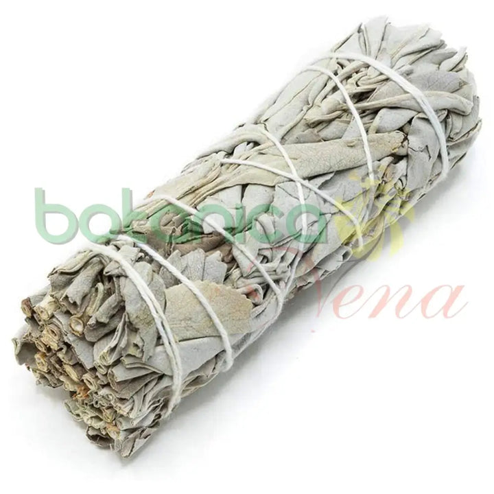 Salvias Secas - Sage - Botanica Nena