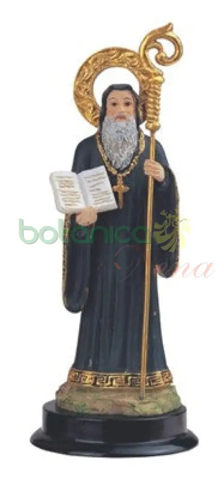 San Benito 5.5’’-1