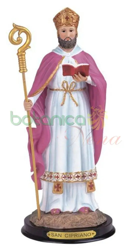 San Cipriano 13.5" - Botanica Nena