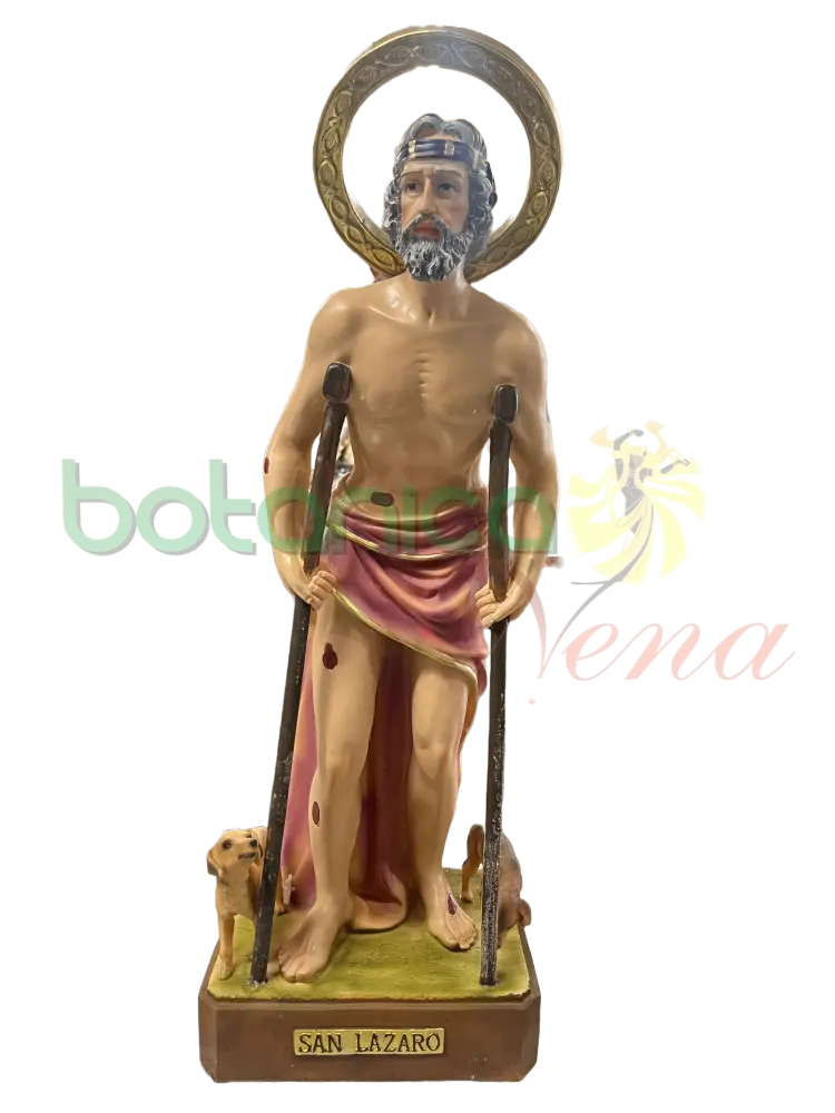 San Lazaro 24” - Botanica Nena