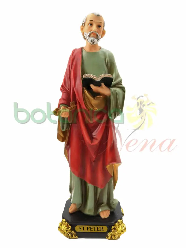 San Pedro 12.5” - Botanica Nena