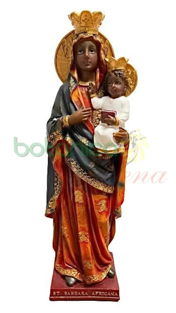 Santa Barbara Africana 12"Alto - Botanica Nena