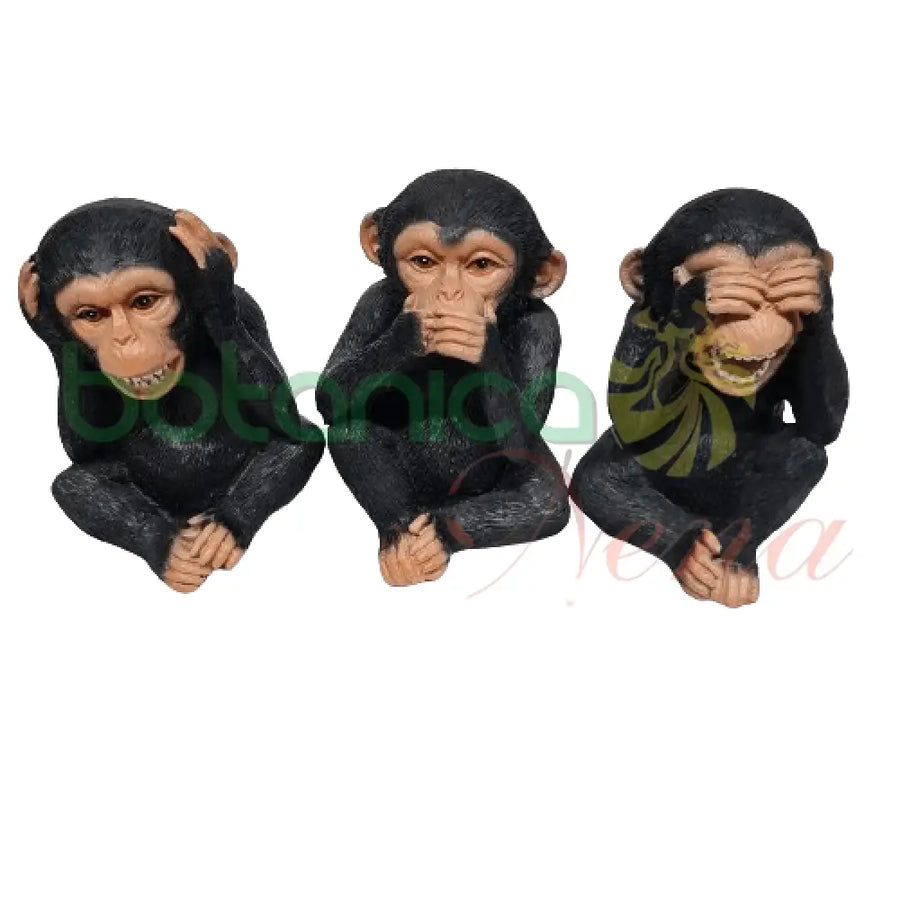 Set de 3 monos 5"x3" - Botanica Nena