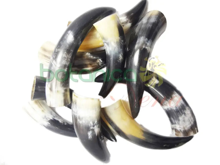 Tarro Pulido - Cuerno de Buey - Botanica Nena